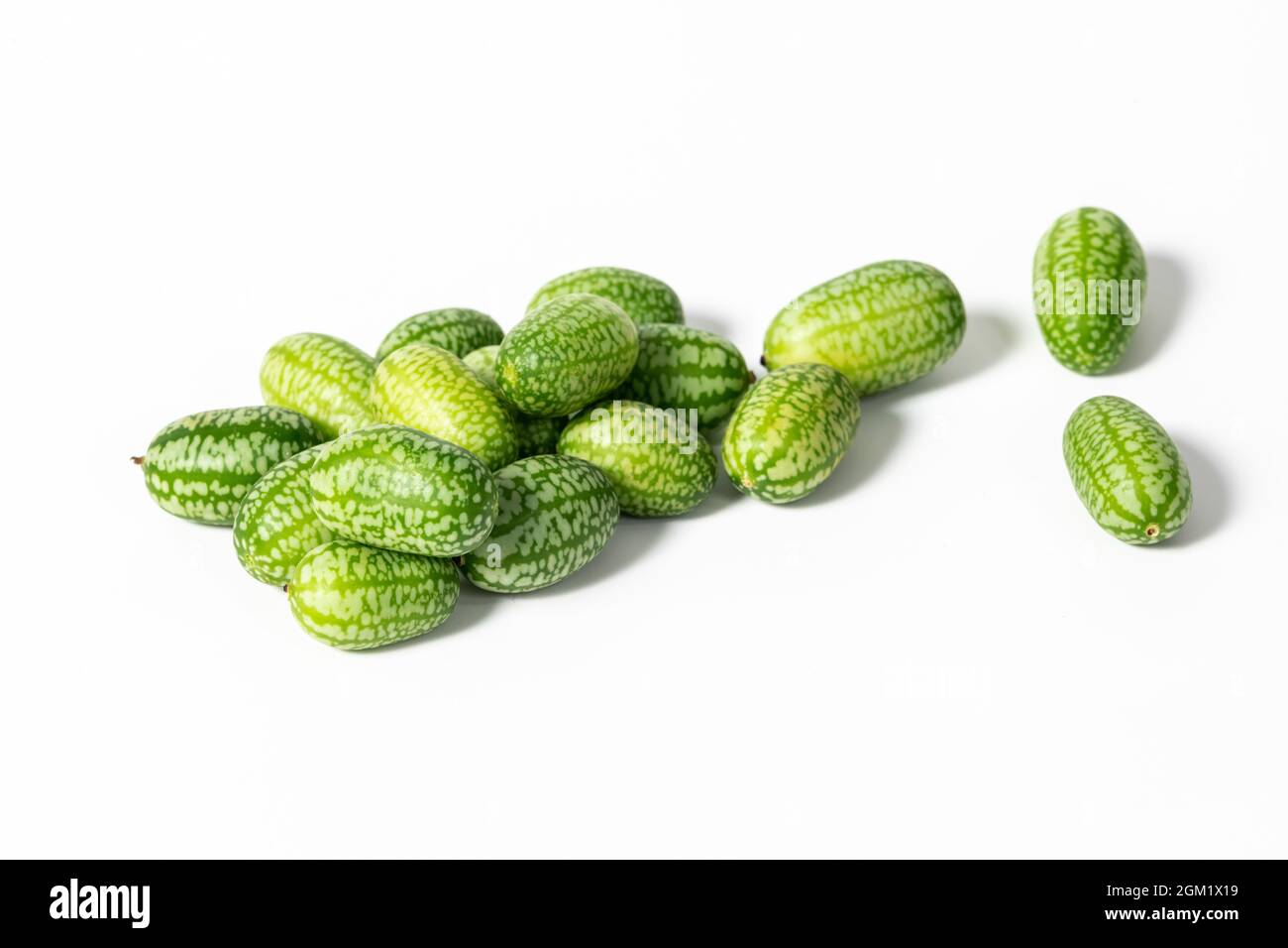 Melothria scabra, cetriolo di cetriolo messicano isolato su sfondo bianco Foto Stock