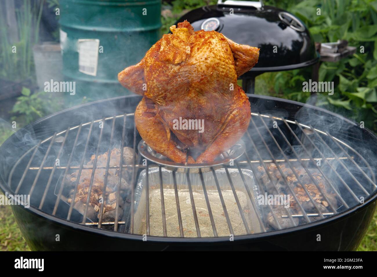 Carcassa di pollo e verdure cotte e affumicate su una griglia a carbone Foto Stock
