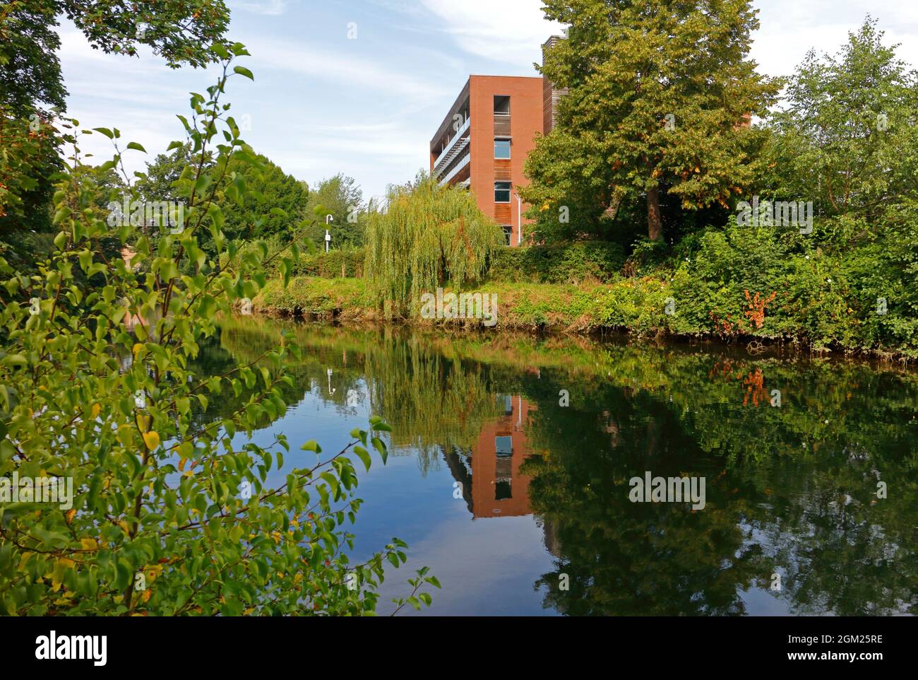 Una vista del fiume Wensum con riflessi a valle del molo di St Helens nella città di Norwich, Norfolk, Inghilterra, Regno Unito. Foto Stock