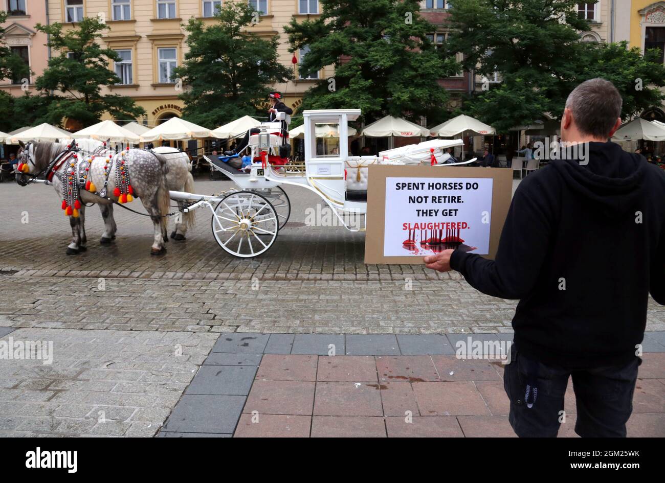 Cracovia. Cracovia. Polonia. Gli attivisti per i diritti degli animali protestano contro lo sfruttamento dei cavalli trainati da carrozza presso il mercato principale Foto Stock