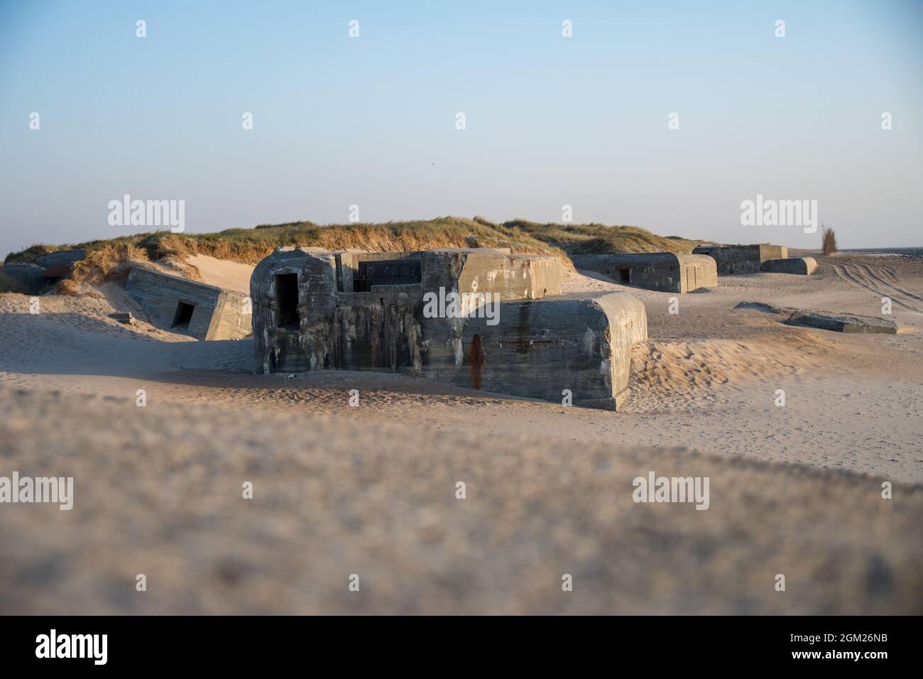Vicino al mare del nord abbandonati i bunker della seconda Guerra Mondiale rimane Foto Stock Vicino al mare del nord abbandonati i bunker della seconda Guerra Mondiale rimane Foto Stock