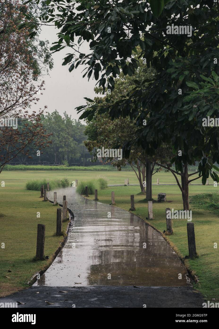 Percorso curvo nel parco verde in giornata piovosa Foto Stock