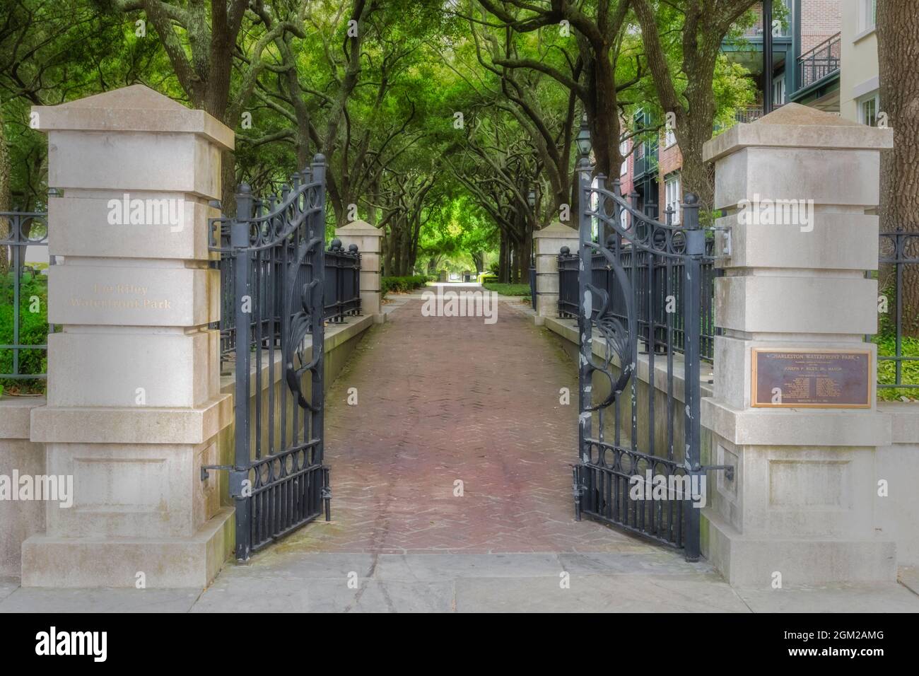 Charleston Waterfront Park - ingresso al Joy Riley Waterfront Park con una passerella in mattoni e alberi che si allineano sul sentiero. Questa immagine è disponibile anche come Foto Stock