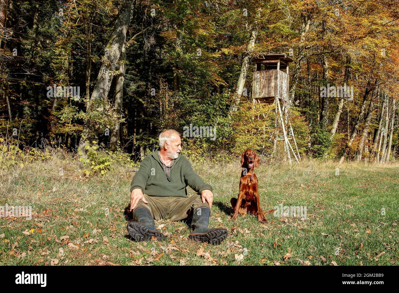 Nel pomeriggio di sole in autunno un cacciatore siede con il suo cane da caccia sul bordo colorato della foresta al sole di fronte al pulpito di caccia. Foto Stock