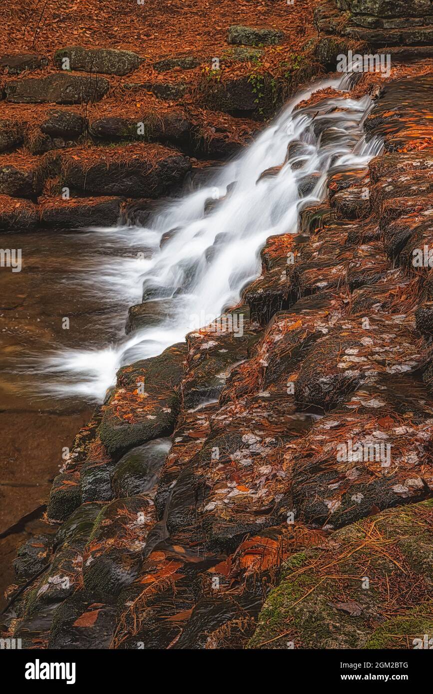 Cascade and Fall Foliage - le foglie di vegetazione autunnale coprono i terreni che circondano questa cascata all'Hickory Tun state Park in Pennsylvania. Questa immagine è un Foto Stock