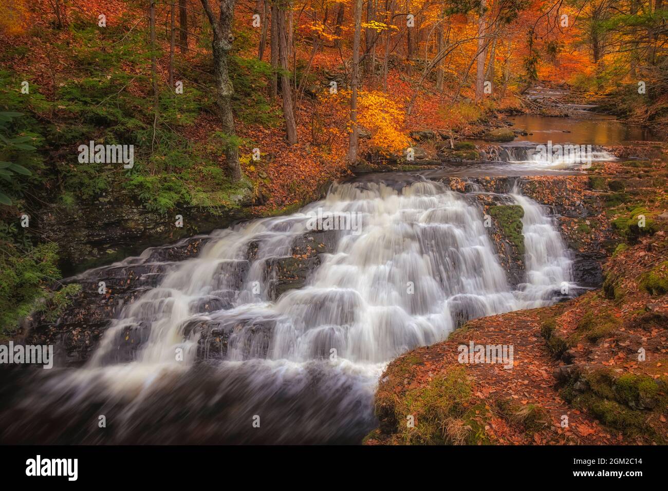 Bushkill Pennel Falls PA - Vista sulla cascata Pennel circondata dai colori colorati dell'autunno. Questa immagine è disponibile anche in bianco e nero Foto Stock