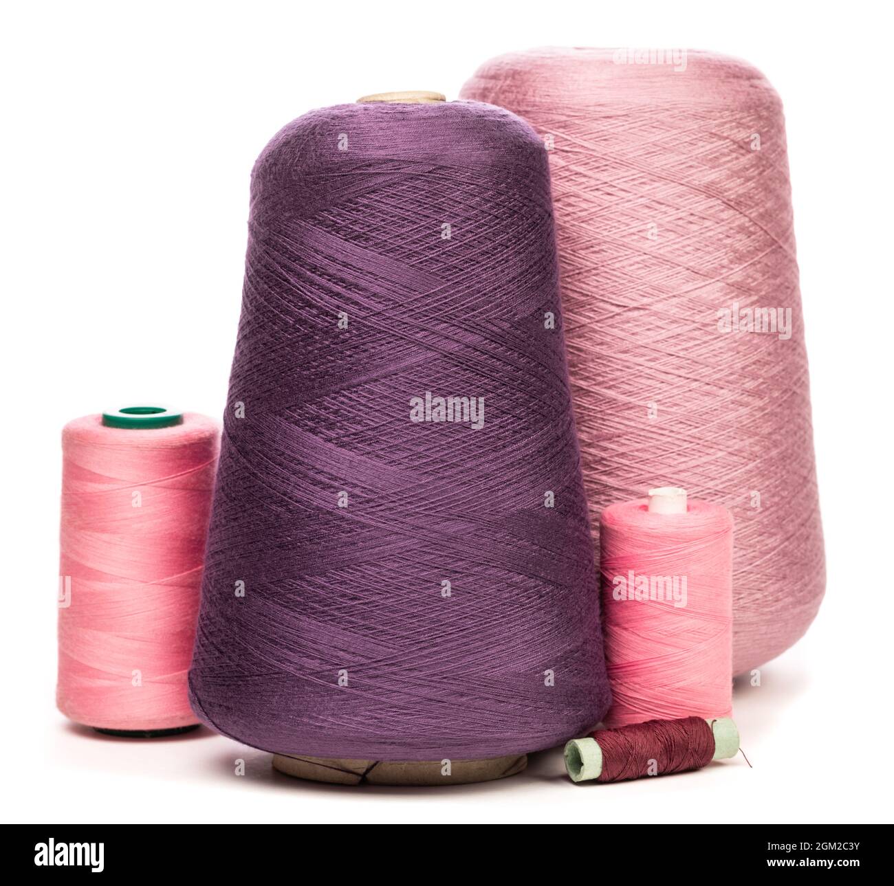 Gruppo di coni e rocchetti di fili rosa viola e viola sintetici o di cotone su sfondo bianco utilizzati per la tessitura nella produzione tessile Foto Stock