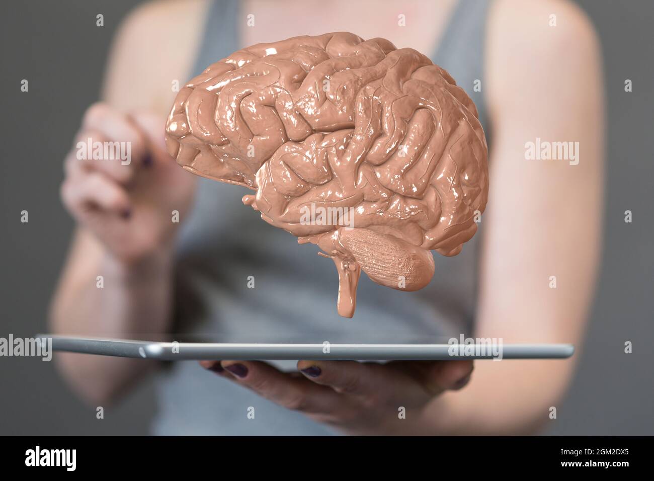 Rendering 3D della rete cerebrale neurogenico digitale IQ Foto Stock