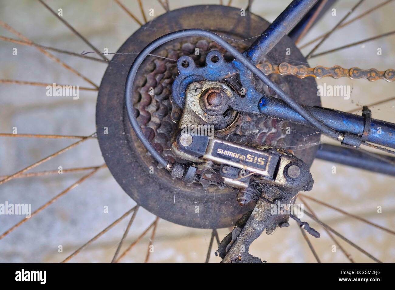 Primo piano degli ingranaggi della bicicletta di Shimano arrugginiti Foto Stock