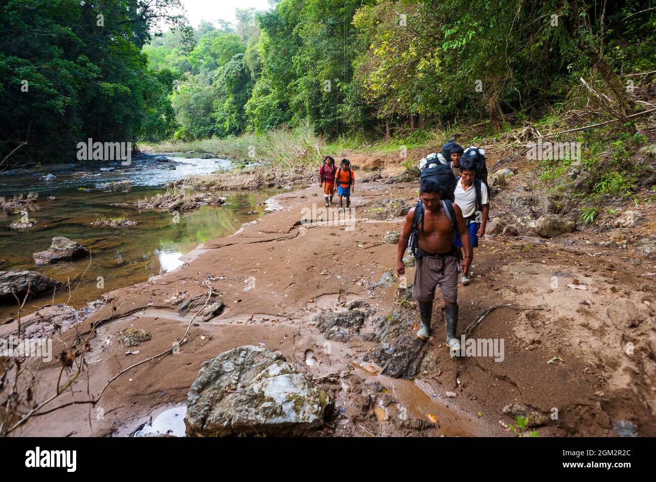 Gli escursionisti indiani Embera camminano lungo un fiume lungo il vecchio sentiero Camino Real, il parco nazionale di Chagres, Repubblica di Panama, America Centrale. Foto Stock