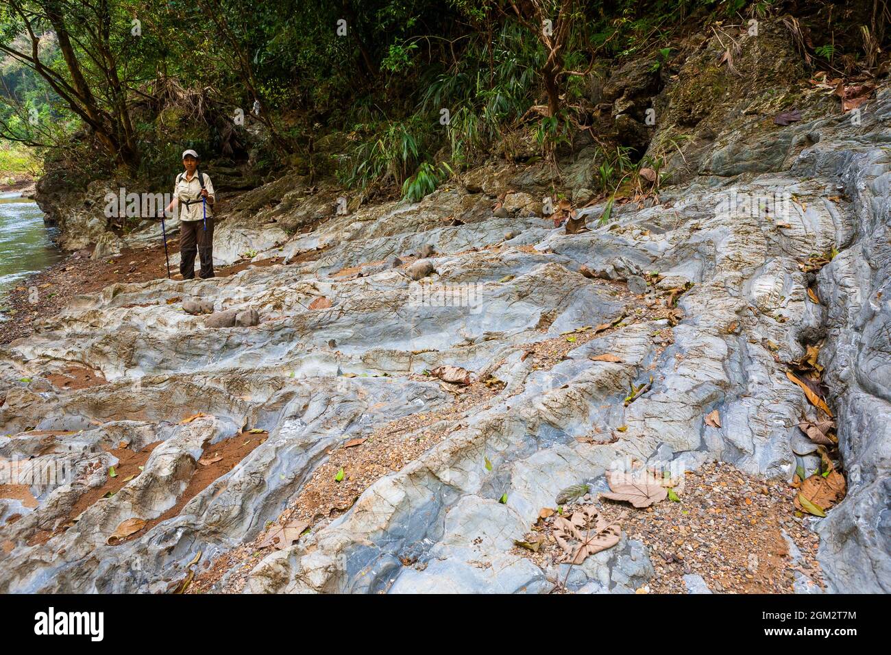 Escursionista accanto a formazioni rocciose geologiche arty nella foresta pluviale lungo il Camino Real Trail, Repubblica di Panama, America Centrale. Foto Stock