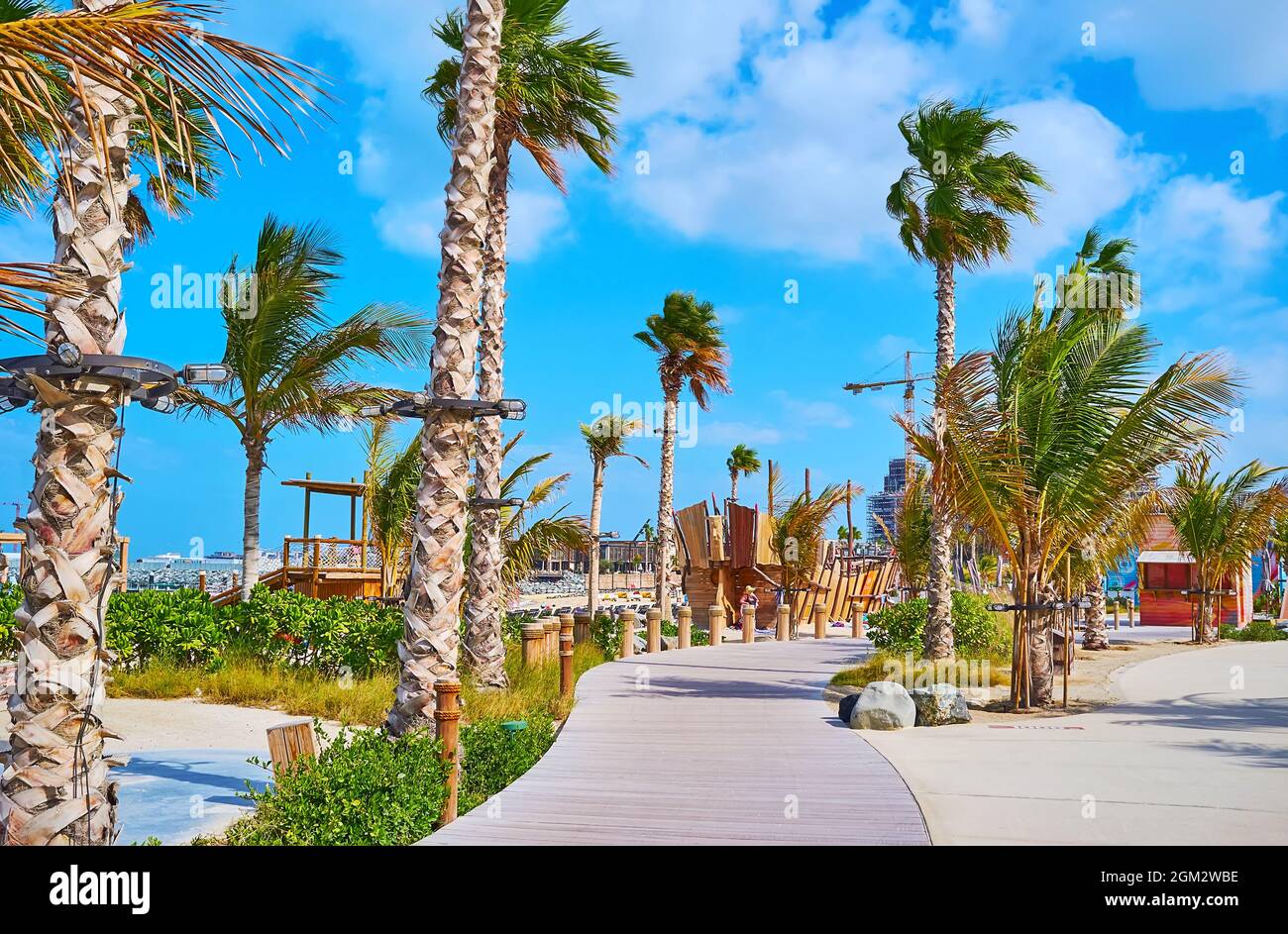 Godetevi una passeggiata lungo la tortuosa passerella pedonale in legno della spiaggia pubblica di la Mer, fiancheggiata da palme e piante lussureggianti, Dubai, Emirati Arabi Uniti Foto Stock