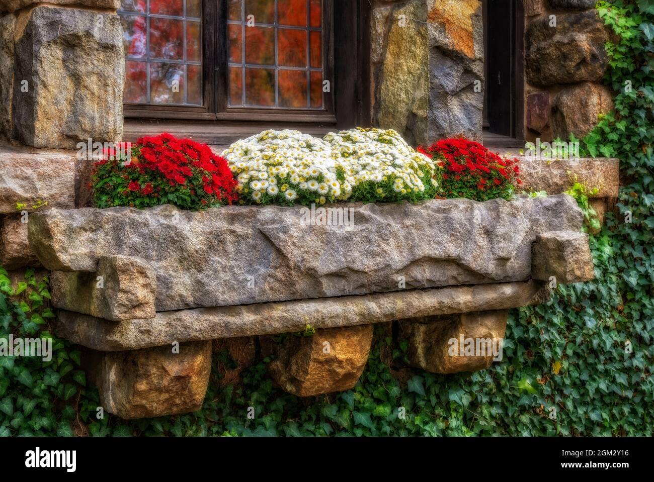 Riflessi della caduta - vecchia struttura in pietra con vetri delle finestre che riflettono i colori dell'autunno. Anche visto sono i fiori di cristhanthemums in scatola di fiori. Th Foto Stock