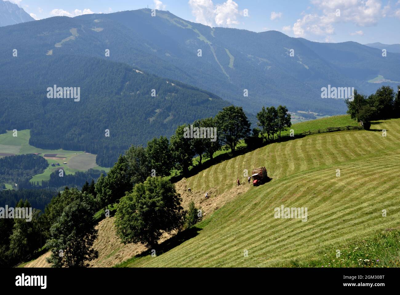 Contadini che lavorano nei campi alti 1400 metri nelle montagne sopra il paese di Percha in Val Pusteria Foto Stock