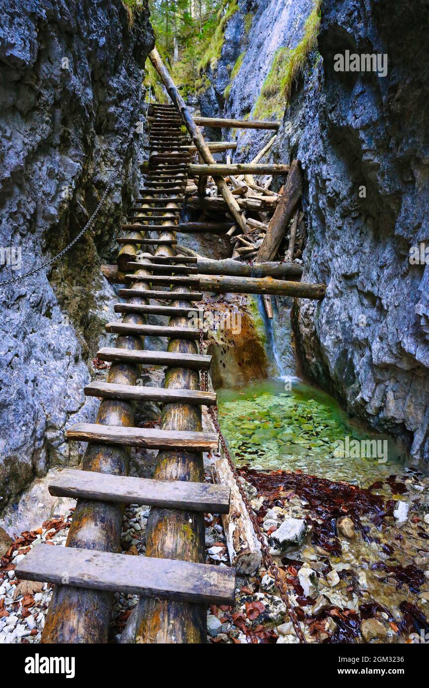 gradini di legno in gola nella foresta di montagna. Prendalo in Slovacchia montagne Foto Stock