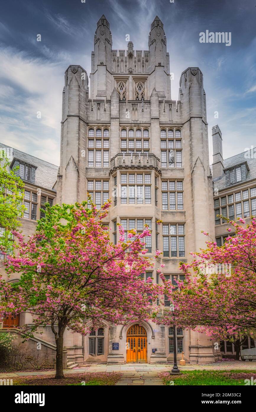 Yale University Sheffield-Sterling-Strathcona Hall - Vista esterna all'ingresso posteriore dell'auditorium con un cielo spettacolare. Yale University è un Foto Stock