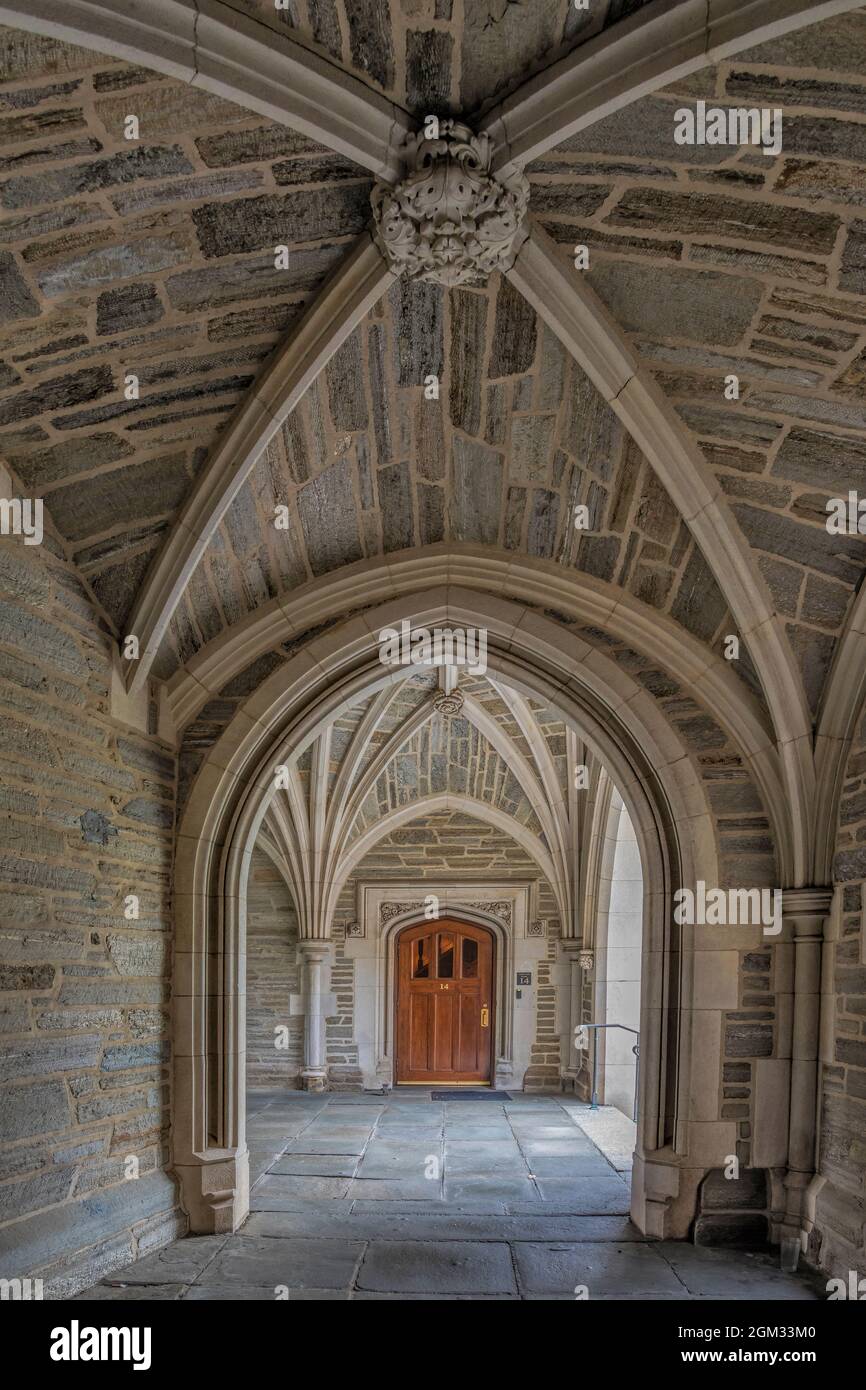 Princeton University Holder Hall Arches - una vista di un perfetto esempio di architettura Collegiata gotica stile. Princeton University è un'Ivy privata Foto Stock