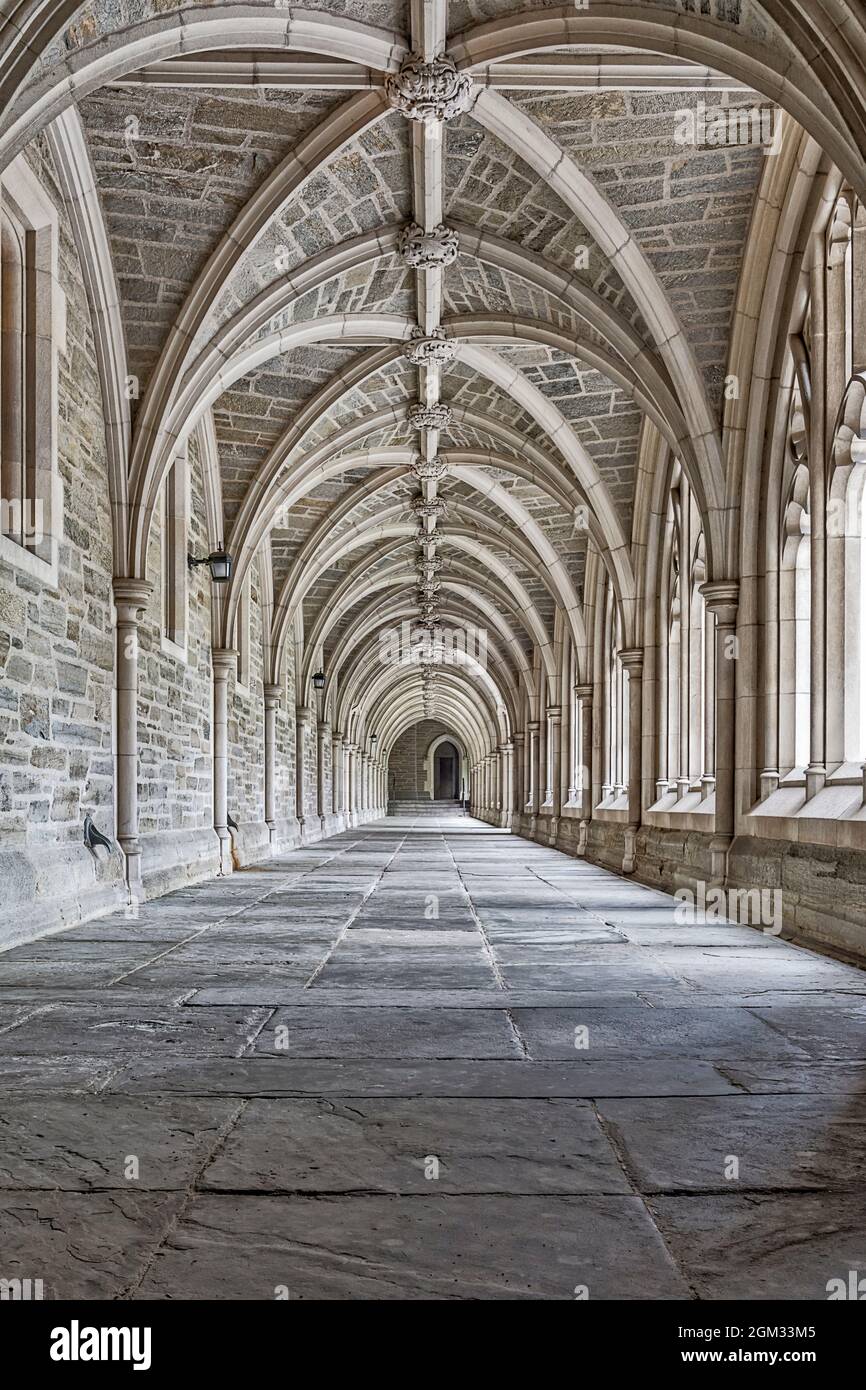 Princeton University Hallway II - una vista di un perfetto esempio di architettura gotica Collegiata. Princeton University è una Ivy League privata r Foto Stock