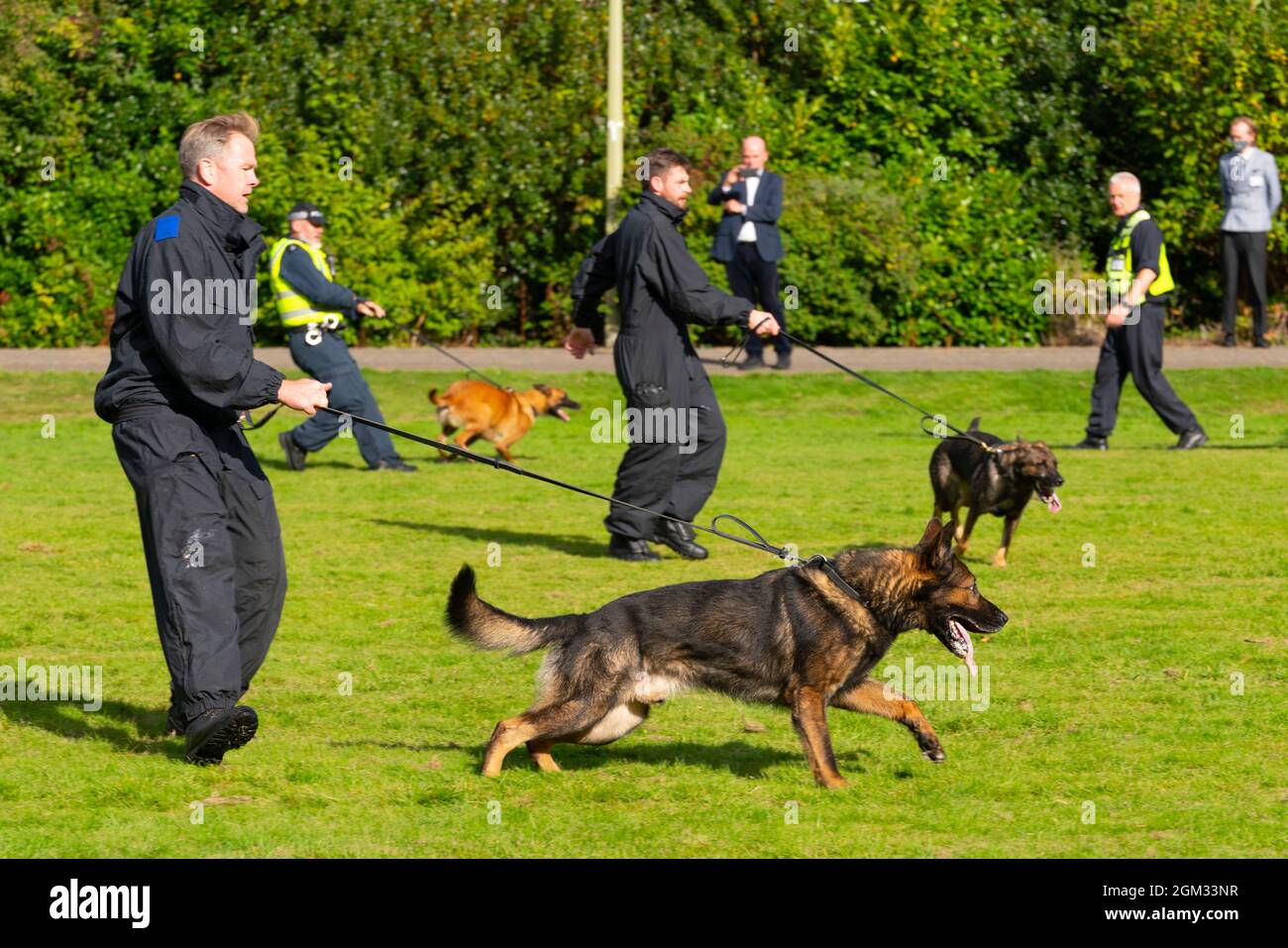 South Queensferry, Scozia, Regno Unito. 16 settembre 2021. La polizia Scozia invita la stampa a seguire la loro formazione per l'ordine pubblico in corso al Craigiehall Camp a South Queensferry. La formazione è stata ideata per preparare la polizia al prossimo evento COP26 a Glasgow nel mese di novembre, dove si prevedono proteste. La polizia in marcia riota si è scontrata contro la polizia che ha assunto il ruolo di manifestanti lanciando missili e attaccandoli con i club. PIC; cani di polizia in azione. Iain Masterton/Alamy Live News. Foto Stock