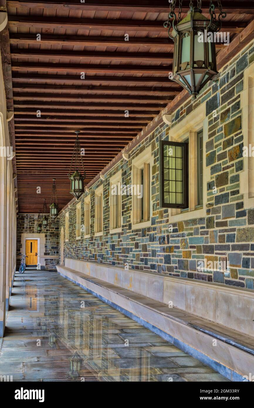 Princeton University Whitman College Hallway - Hall al Whitman College nel campus della Princeton University, dopo una pioggia. Università di Princeton Foto Stock