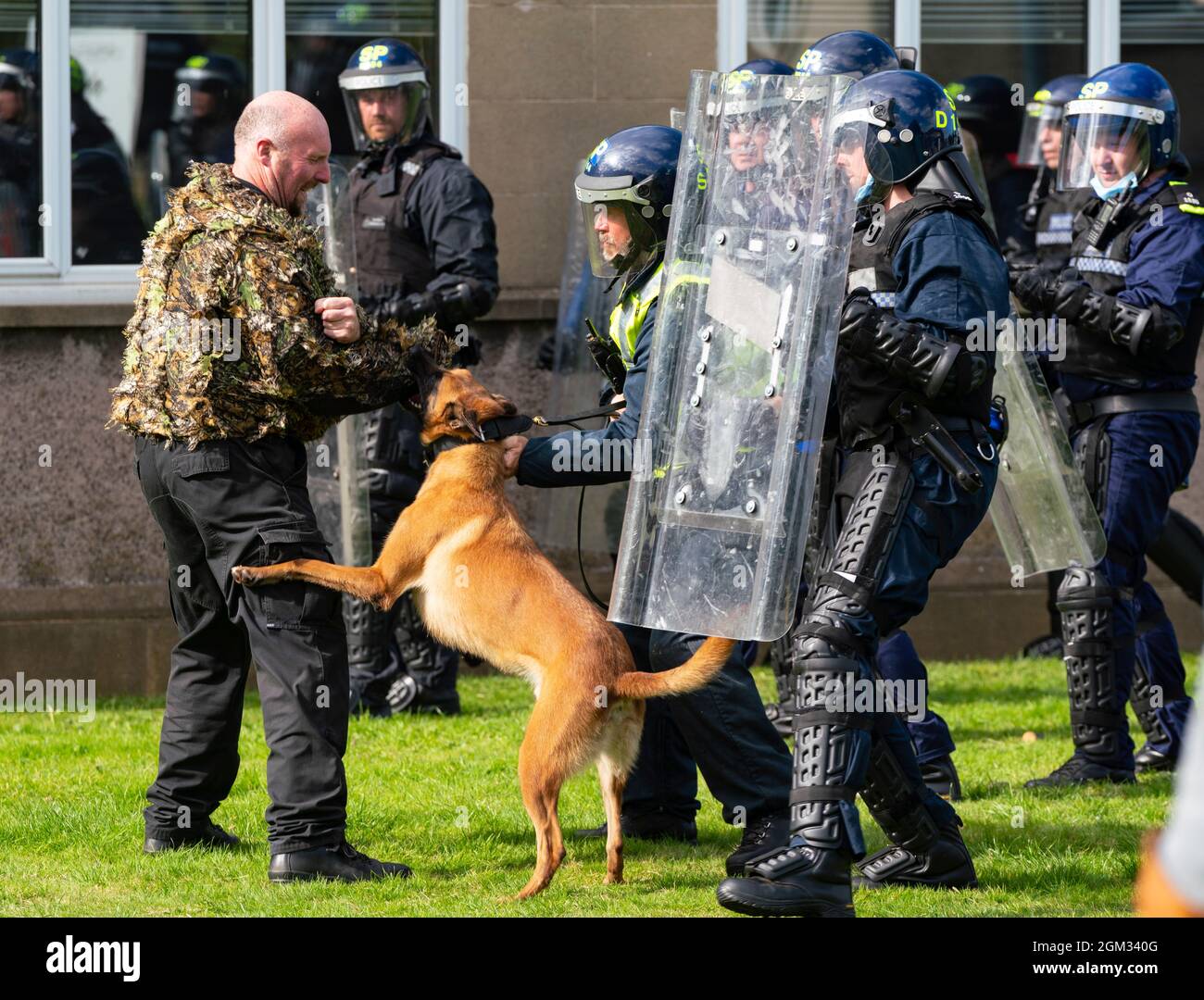 South Queensferry, Scozia, Regno Unito. 16 settembre 2021. La polizia Scozia invita la stampa a seguire la loro formazione per l'ordine pubblico in corso al Craigiehall Camp a South Queensferry. La formazione è stata ideata per preparare la polizia al prossimo evento COP26 a Glasgow nel mese di novembre, dove si prevedono proteste. La polizia in marcia riota si è scontrata contro la polizia che ha assunto il ruolo di manifestanti lanciando missili e attaccandoli con i club. PIC; cani di polizia in azione. Iain Masterton/Alamy Live News. Foto Stock