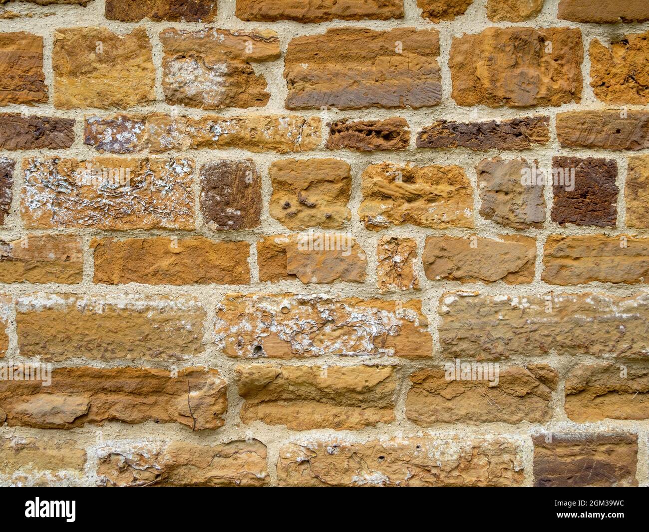 Sfondo di un vecchio muro di pietra in primo piano, Regno Unito Foto Stock