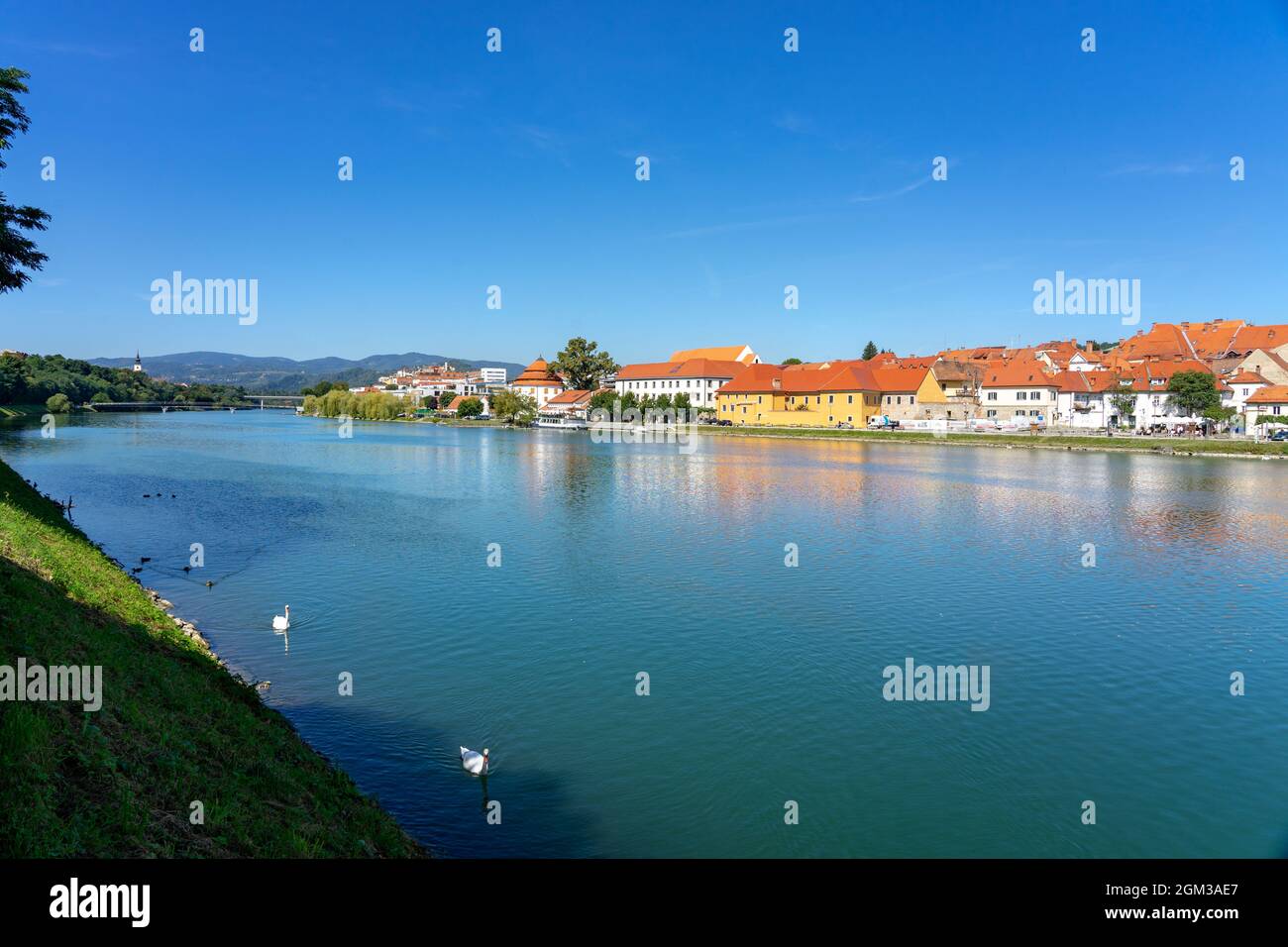 Fiume Drava a Maribor con quartiere prestato e Zupnija Maribor - Sv. Chiesa di Jozef . Foto Stock