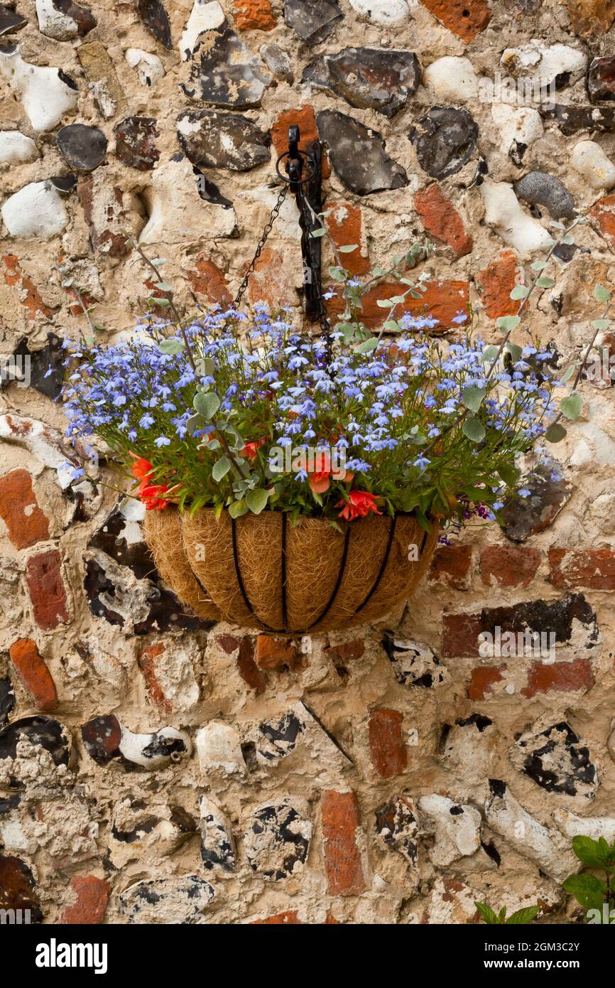 Un cesto appeso di fiori Foto Stock