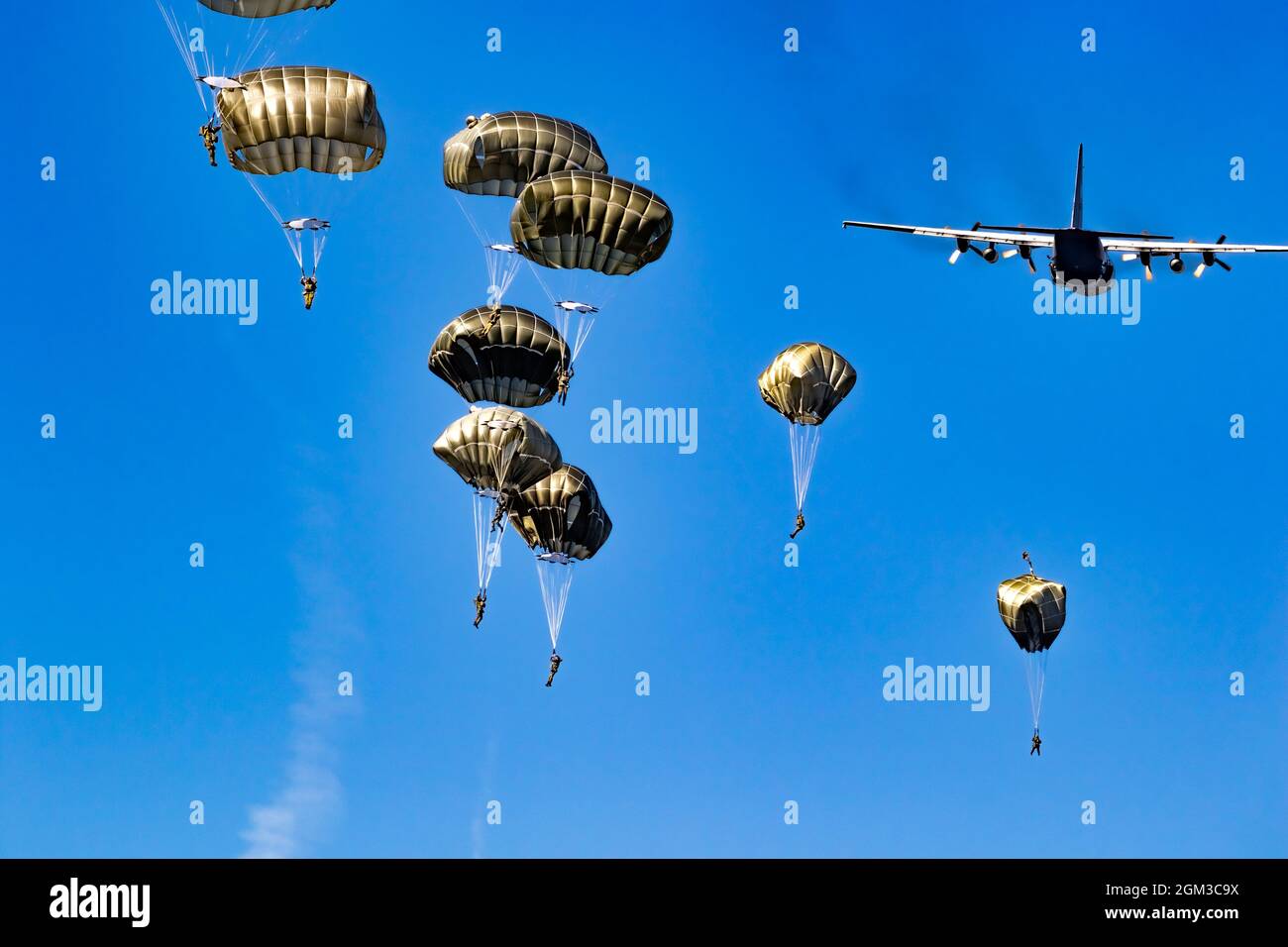 Paracadutisti militari paracadutisti paracadutisti che saltano fuori da un aereo di forze aeree in una giornata di cielo blu chiaro. Foto Stock