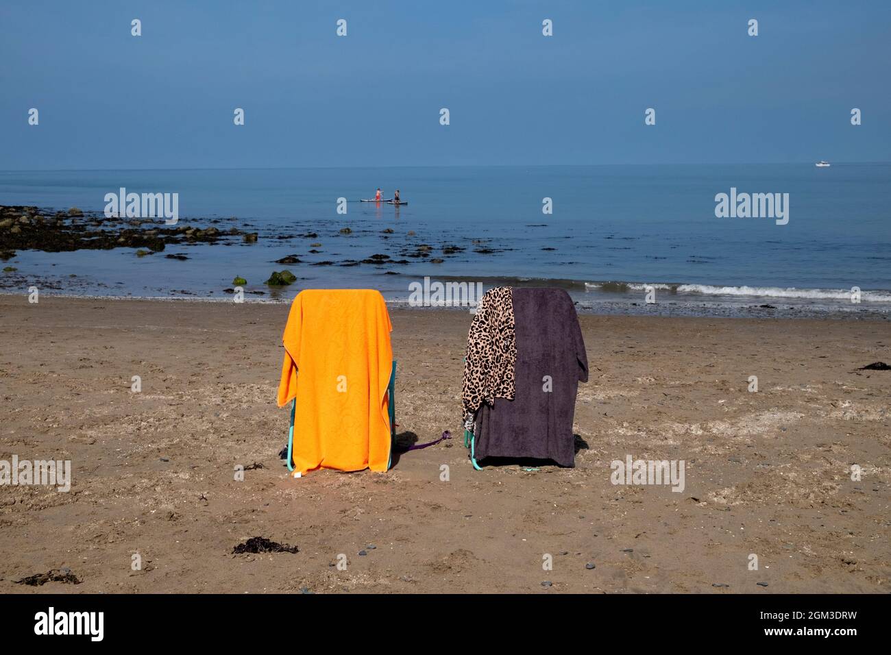 Vista posteriore di colorati sdraio seduti sulla spiaggia sabbiosa a New Quay a Cerediaion sulla costa gallese Galles UK KATHY DEWITT Foto Stock