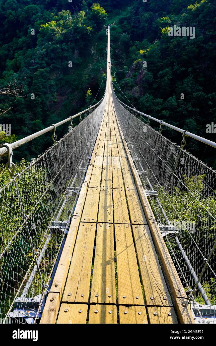 Ponte Tibetano Carasc o Ponte Tibetano Valle di Sementina o Tibetische Brucke Carasc, Monte Carasso - Cantone Ticino, Svizzera Foto Stock