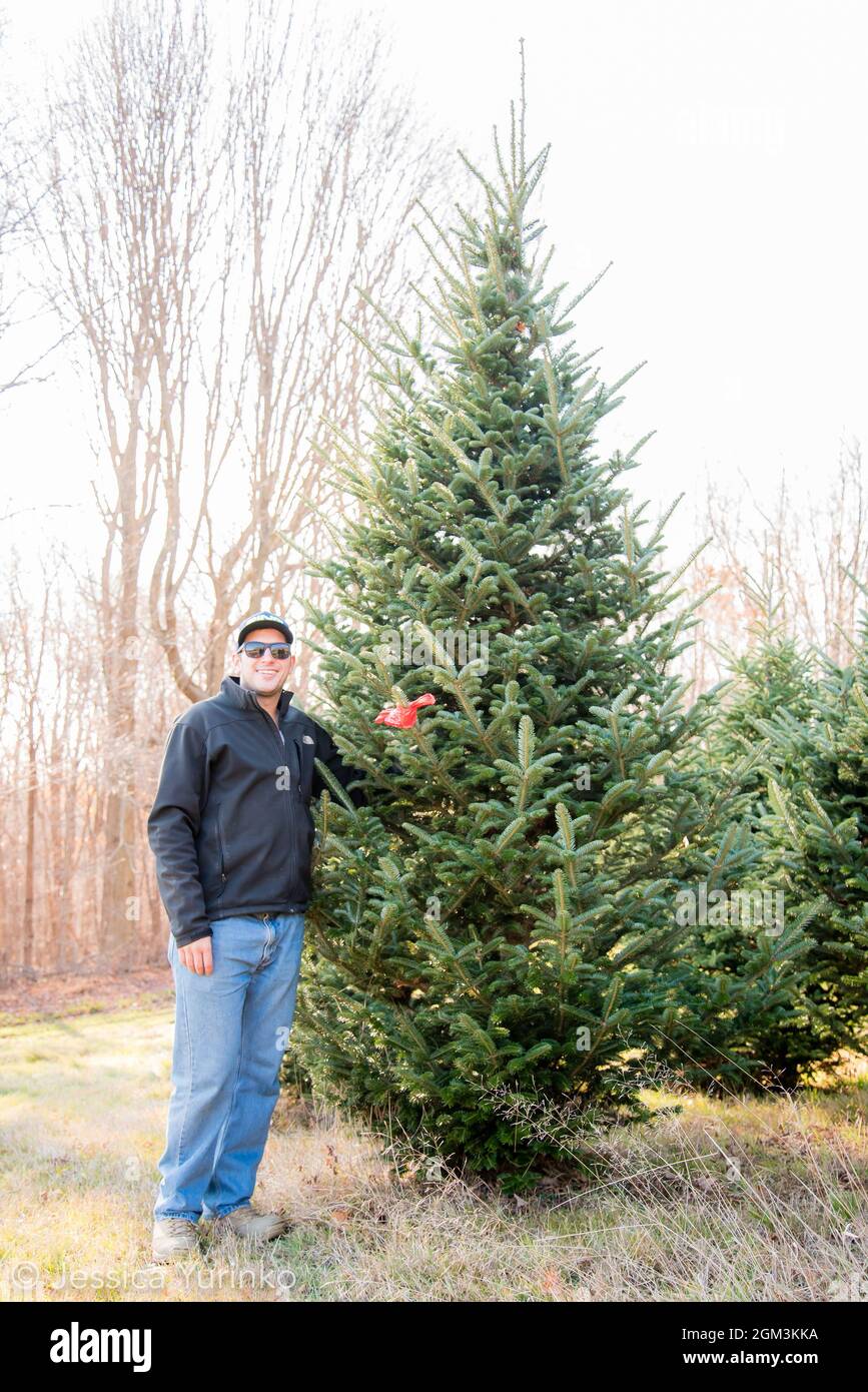 Tradizione albero di Natale Foto Stock
