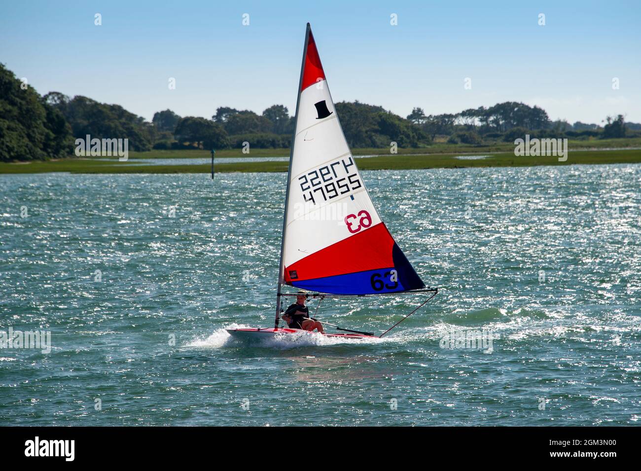 Ragazza a vela un topper Dinghy a Chichester Harbour, West Sussex, Regno Unito Foto Stock