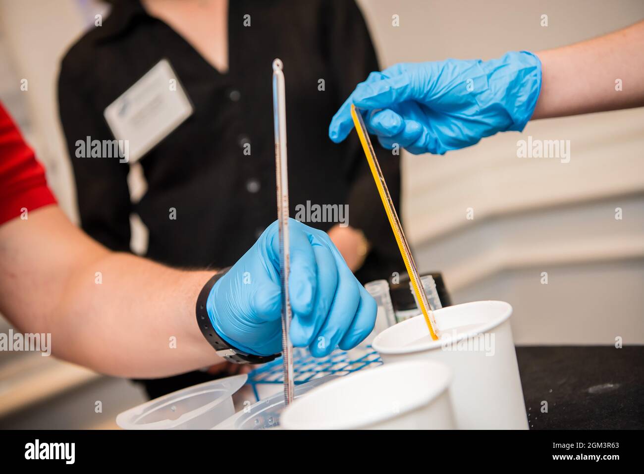 I bambini indossano guanti in lattice per esperimenti scientifici Foto Stock