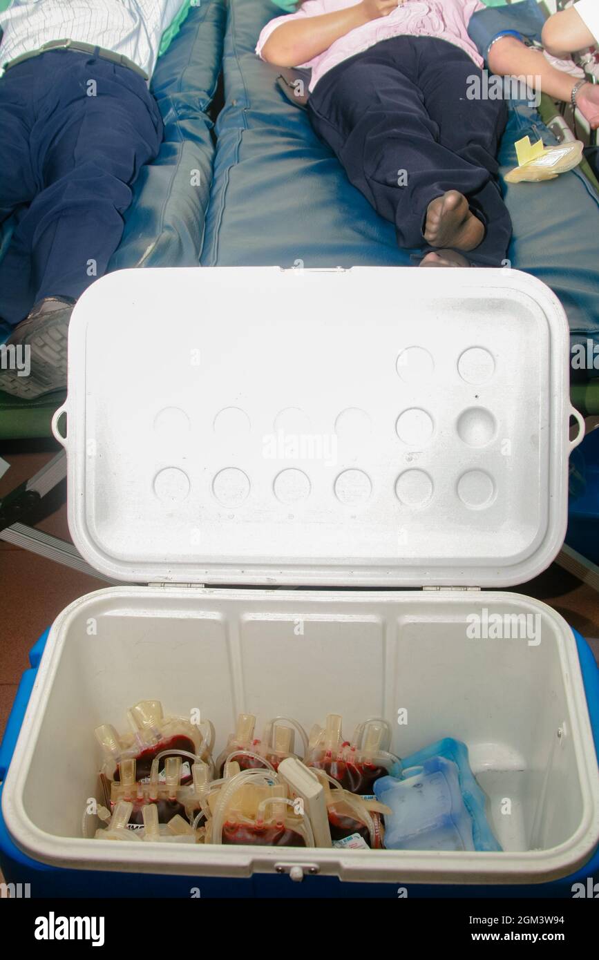 Una scatola per conservare sacche di sangue da donatori di sangue durante una donazione di sangue o un evento di darah donatore. Foto Stock