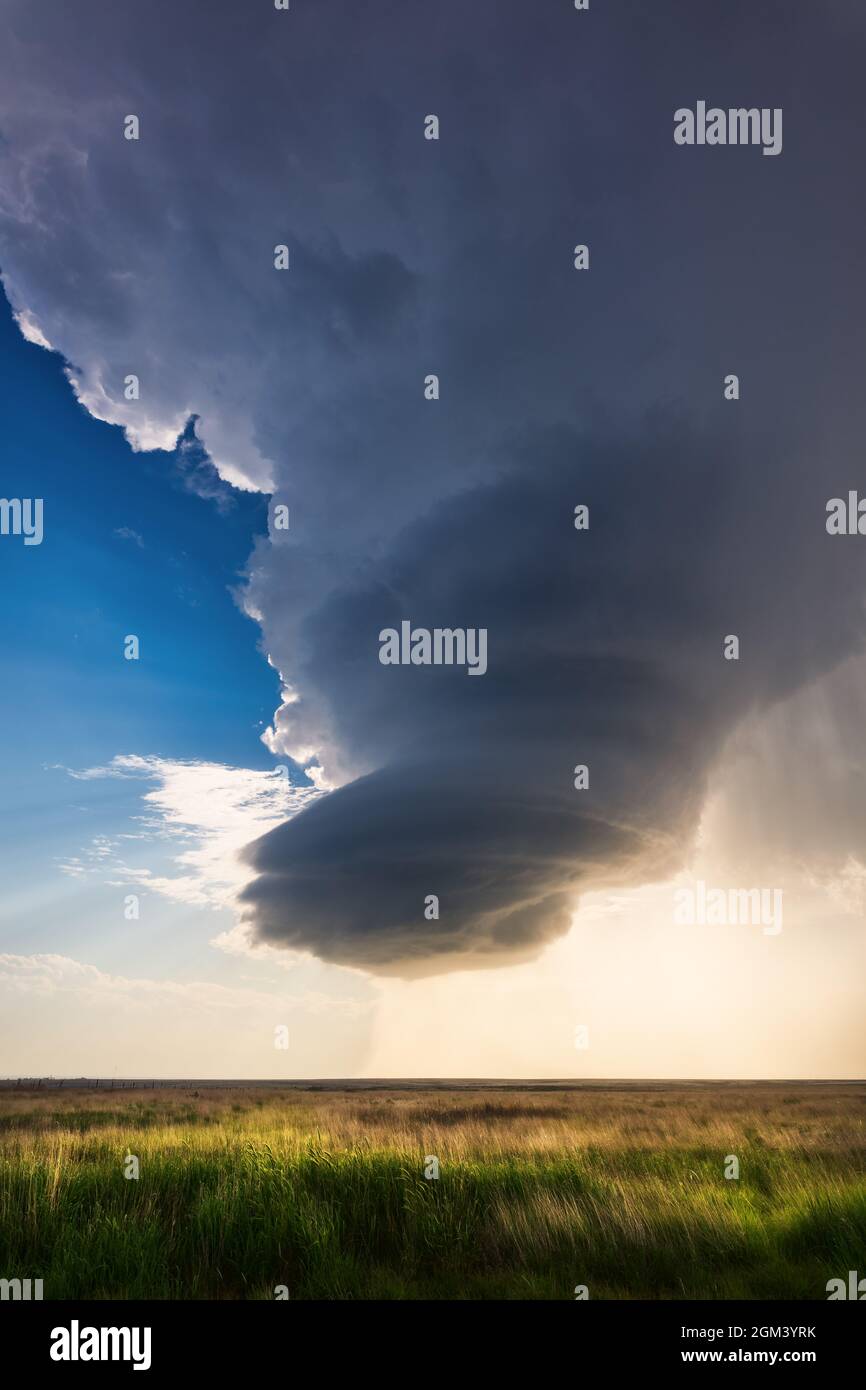 Paesaggio panoramico con luce solare dietro le nuvole di tempesta di supersiche su un campo vicino Lakin, Kansas Foto Stock