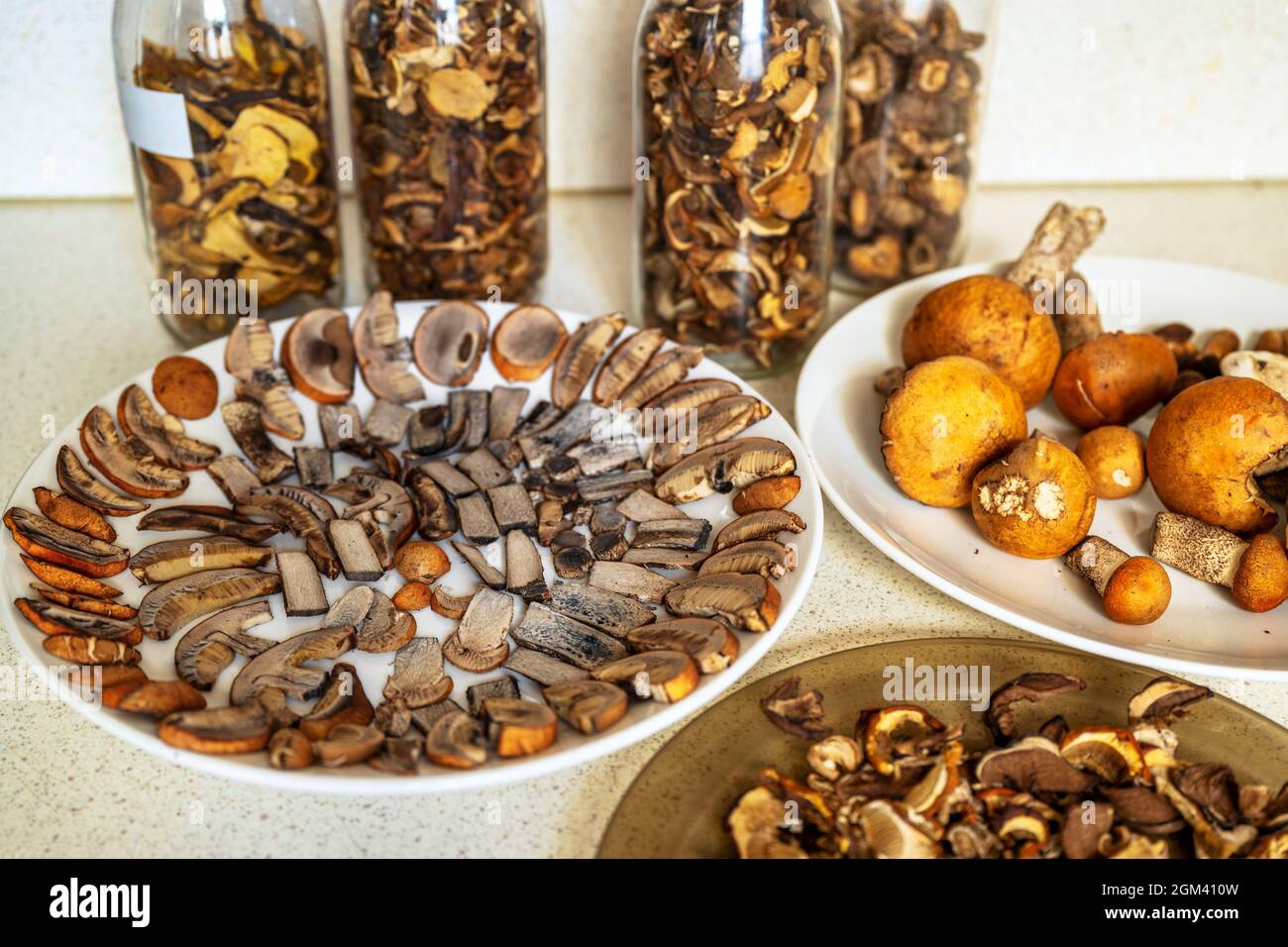 Molti funghi forestali, (principalmente con testa arancione Leccinum). I funghi sono per lo più crudi, interi o tagliati a fette su piatto ed essiccati in vetro alto sul tavolo da cucina. Foto Stock