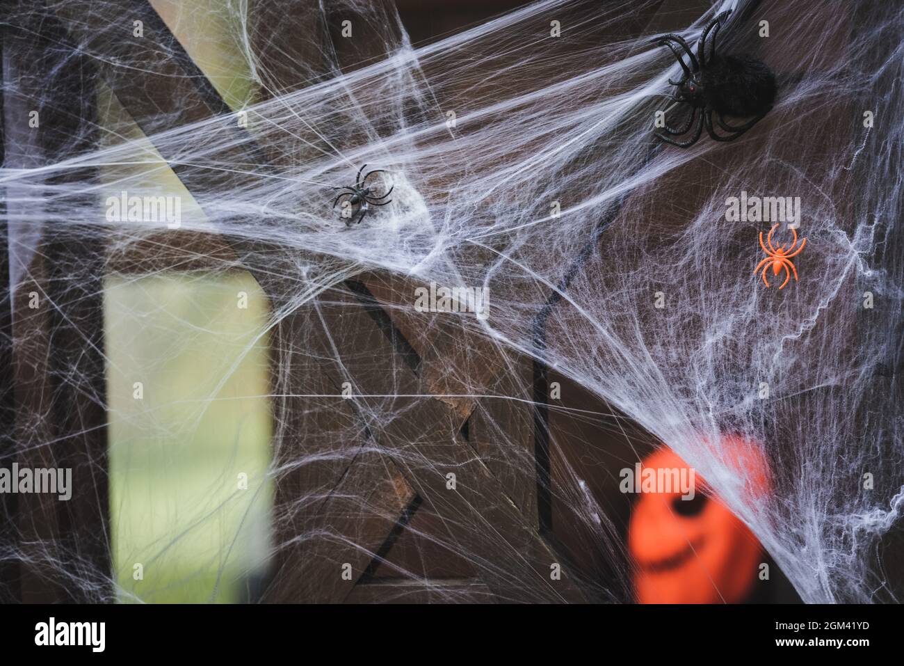 Ragni finti ragno plastica giocattolo immagini e fotografie stock ad alta  risoluzione - Alamy