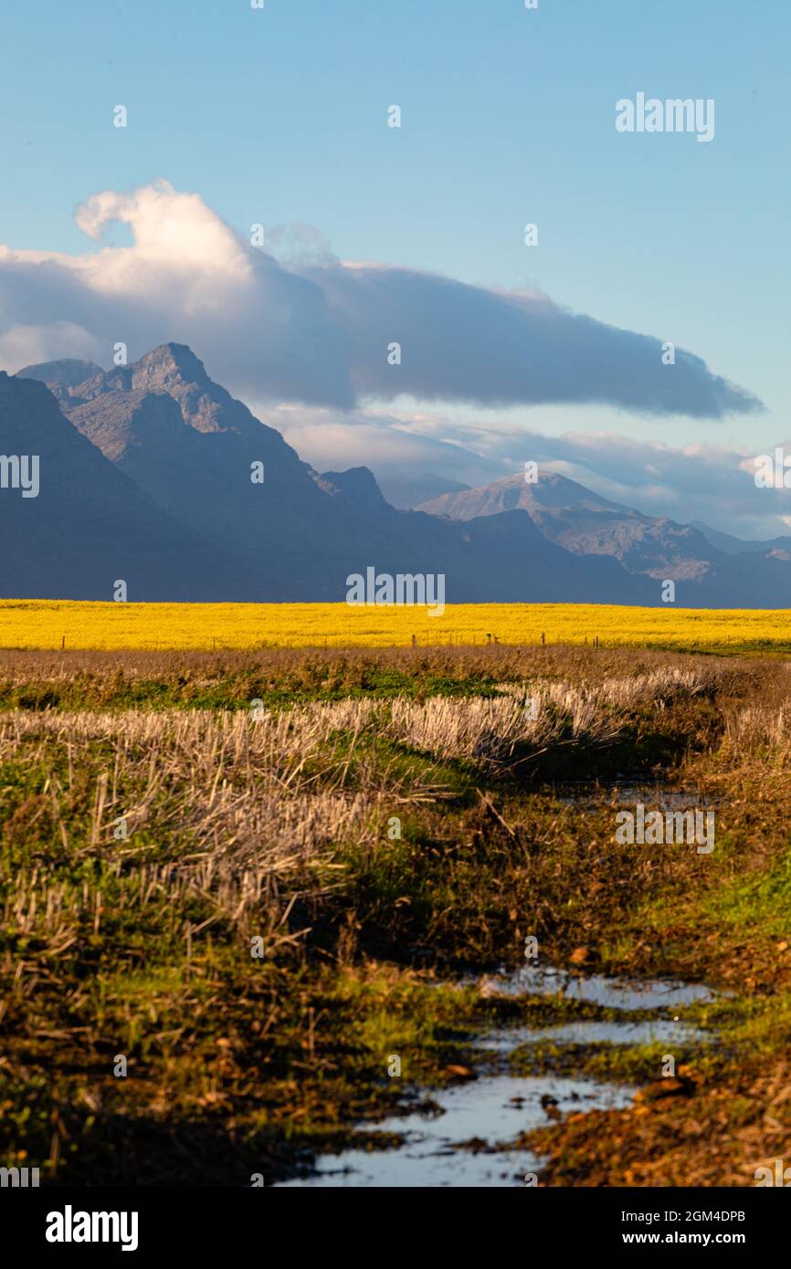 Vista generale del paesaggio di campagna con cielo nuvoloso Foto Stock
