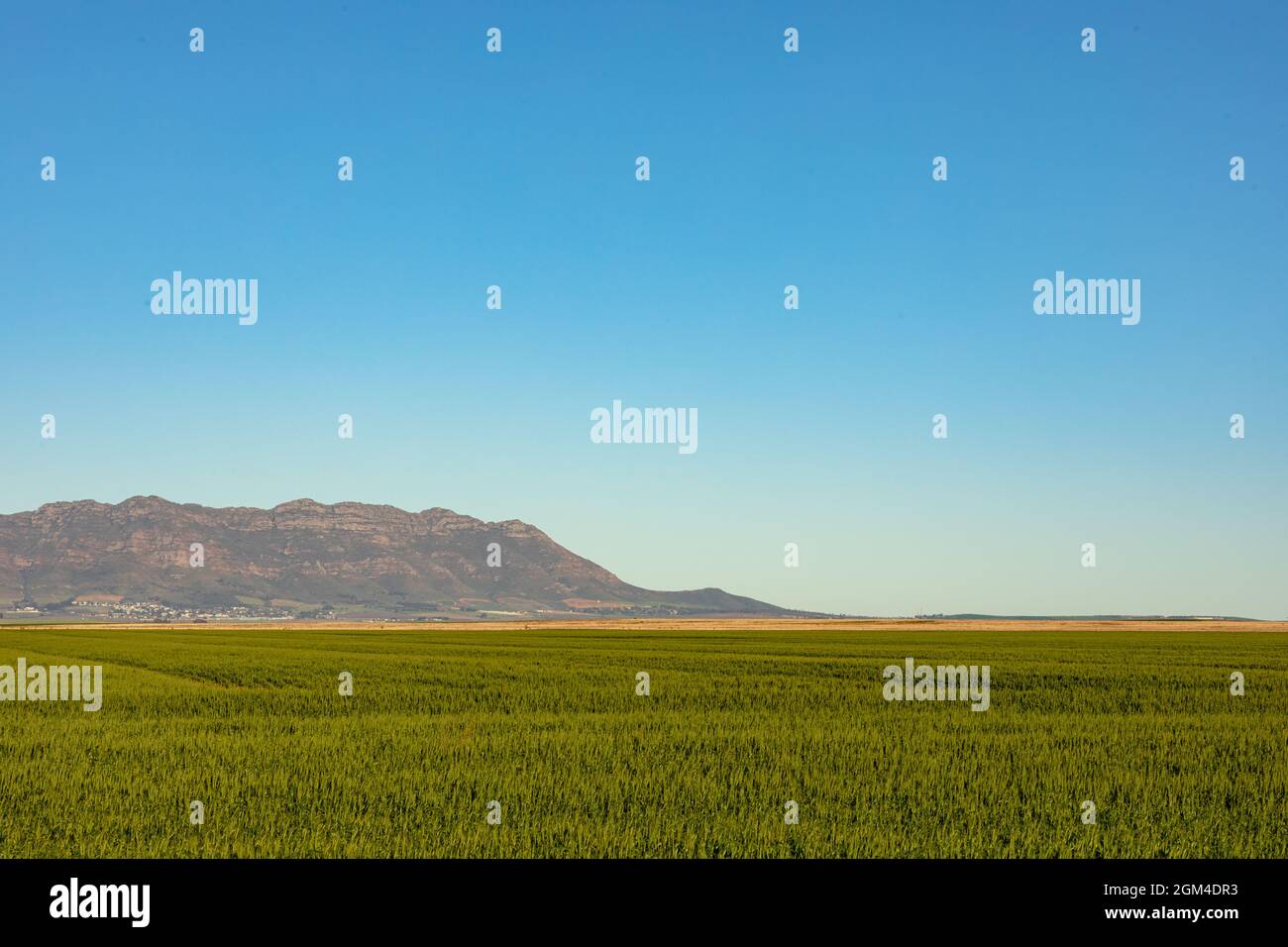 Vista generale del paesaggio di campagna con cielo nuvoloso Foto Stock