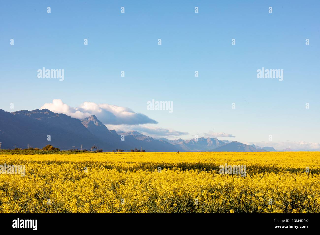 Vista generale del paesaggio di campagna con cielo nuvoloso Foto Stock