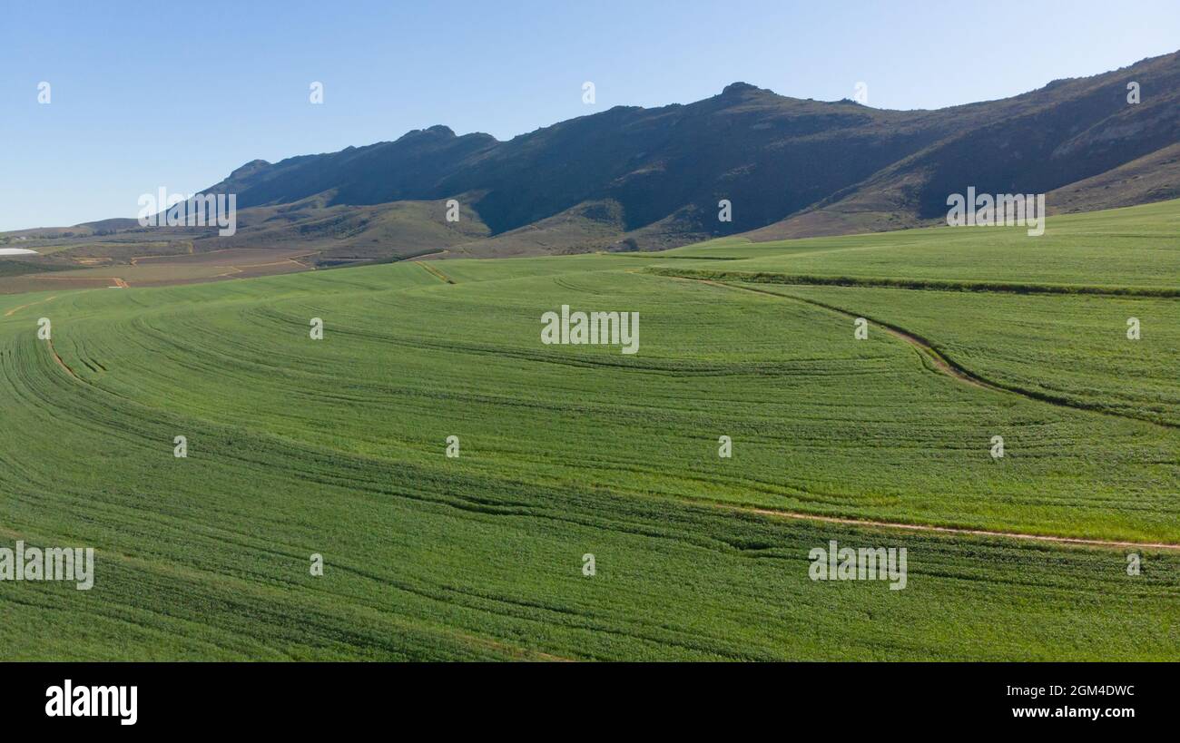 Vista generale del paesaggio di campagna con cielo nuvoloso Foto Stock