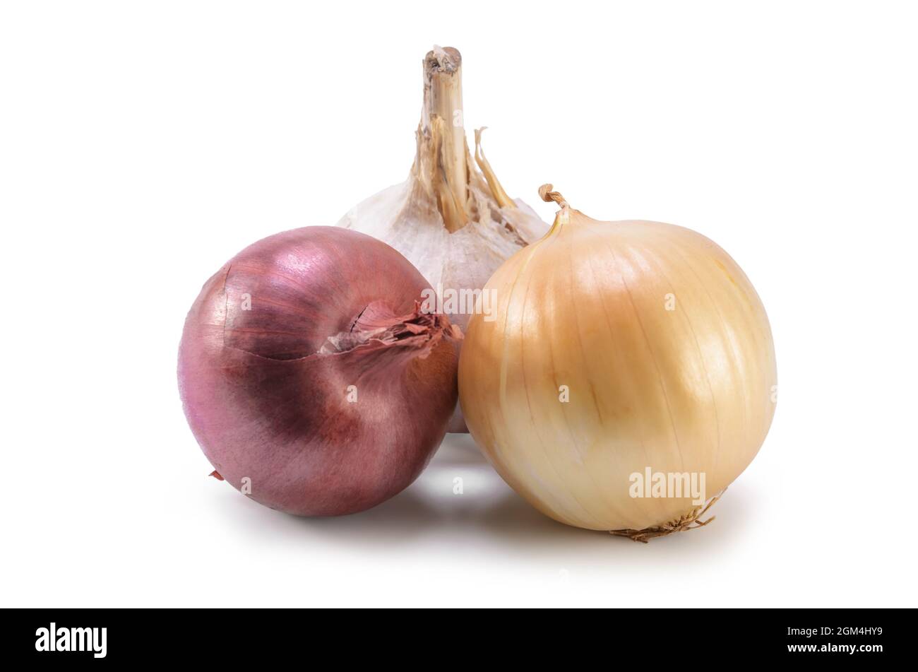 cipolla e aglio su sfondo bianco con ombra morbida Foto Stock