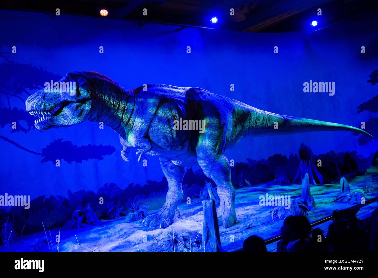 Il Tyrannosaurus Rex è orgoglioso del London Natural History Museum. Foto Stock