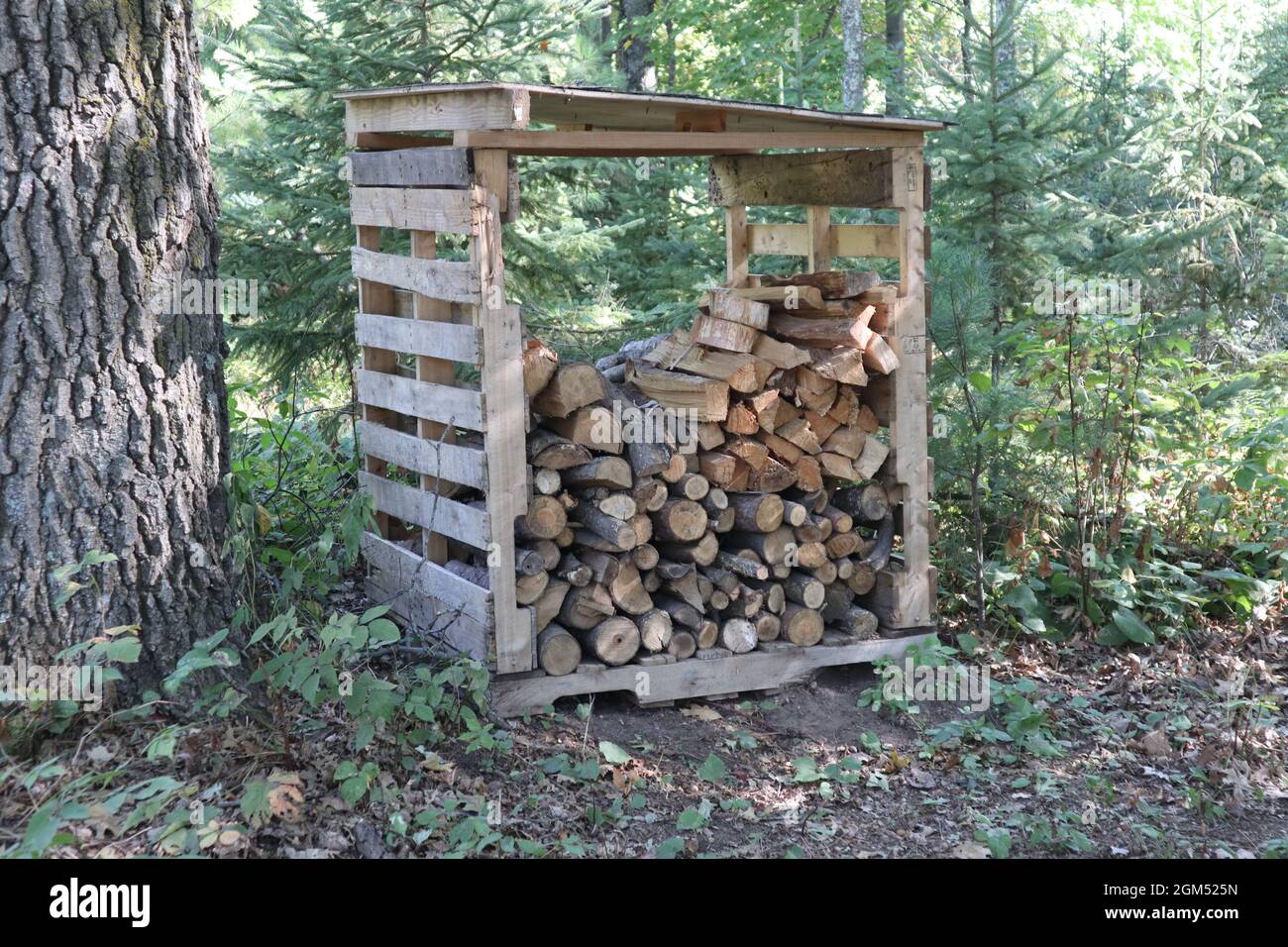 Deposito legna da ardere di pallet usati Foto Stock