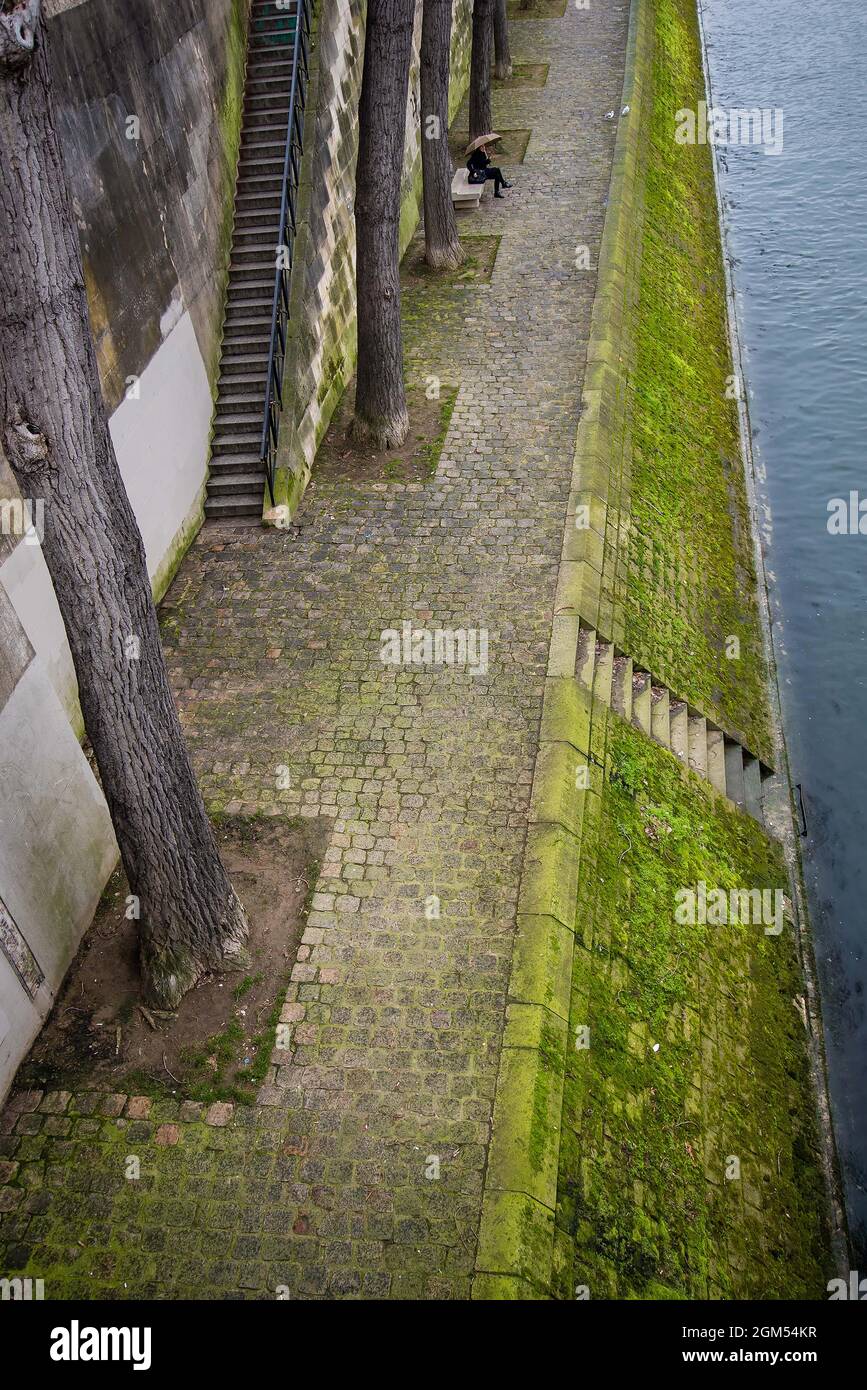 Fiume Siene, Parigi, Francia. Forme geometriche di erba, alberi, acqua. La ragazza del soggetto nascosta sulla panca che osserva il mondo andare vicino. Foto Stock