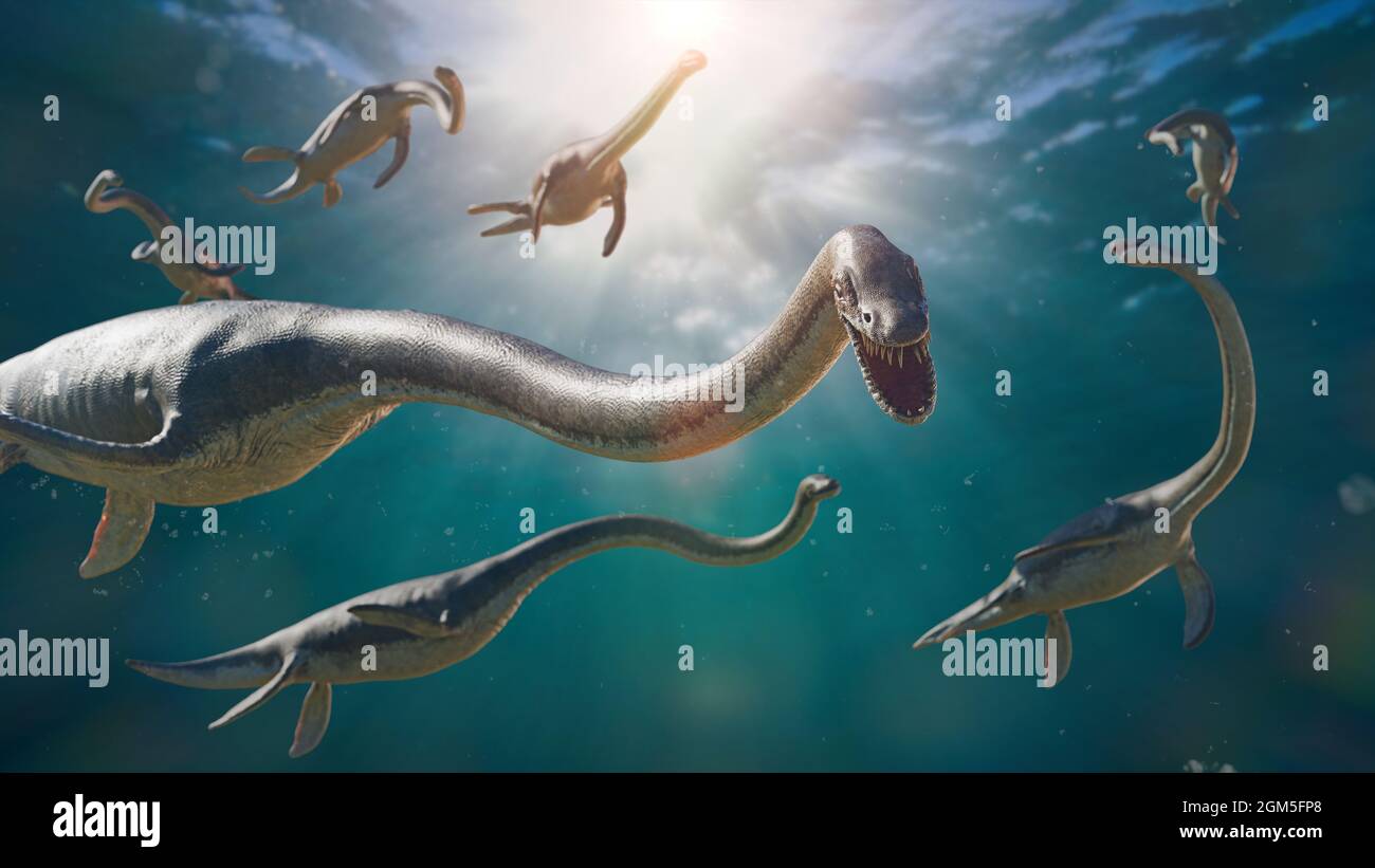 Elasmosaurus, gruppo di plesiosauri a collo lungo del tardo periodo cretaceo, illustrazione scientifica 3d Foto Stock