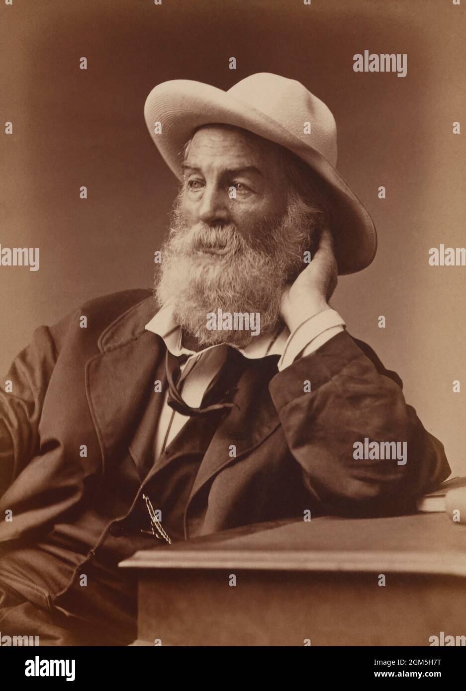 Walt Whitman (1819-1892), poeta americano, ritratto seduto a metà lunghezza, G. Frank E. Pearsall, 1872 Foto Stock