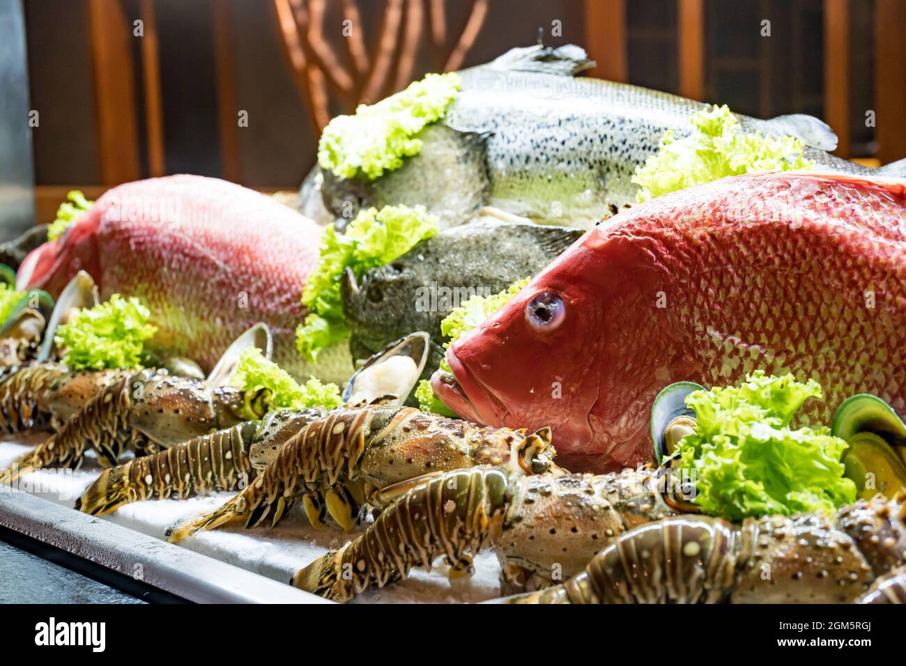 Delizioso pesce pronto a mangiare con pesce fresco e ostrici. Foto Stock