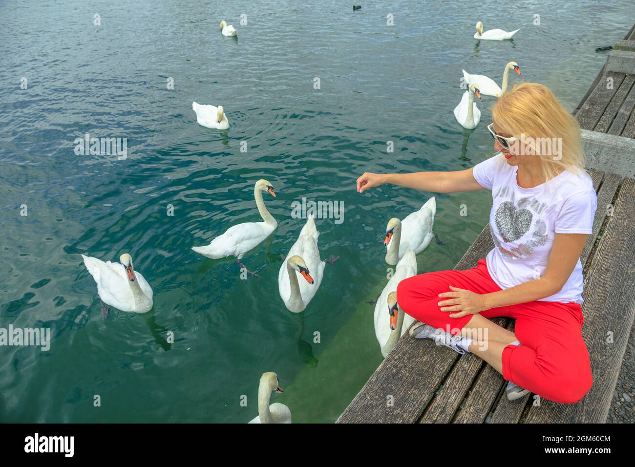 Ragazza turistica bionda che gioca con cigni bianchi nelle acque turchesi del lago di Zurigo nella città di Zurigo. Porto turistico fronte lago con persone che riposano tra la natura e. Foto Stock